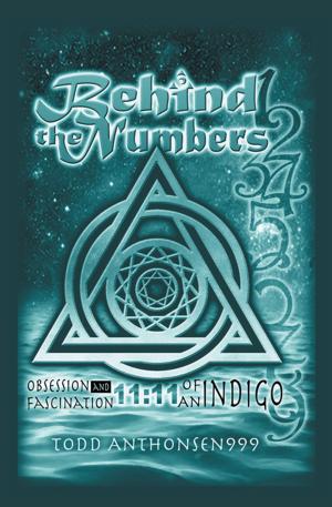 Book cover of Behind the Numbers
