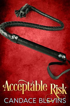 Cover of the book Acceptable Risk by Chloe O'Reilly