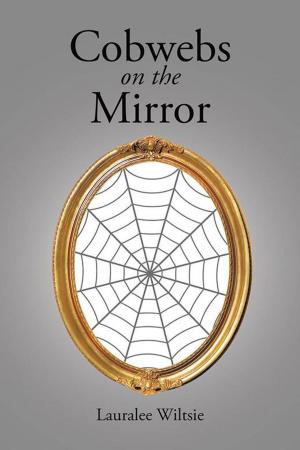 Cover of the book Cobwebs on the Mirror by Promise Smythe