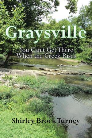 Cover of the book Graysville by Jamie Horwath