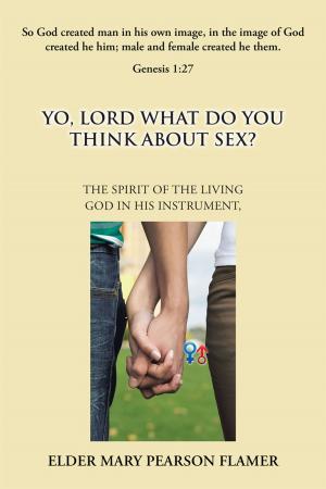 Cover of the book Yo, Lord, What Do You Think About Sex? by Farin Mirvahabi Powell