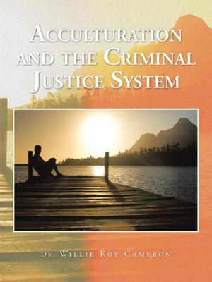 Cover of the book Acculturation and the Criminal Justice System by Sandy Rivers