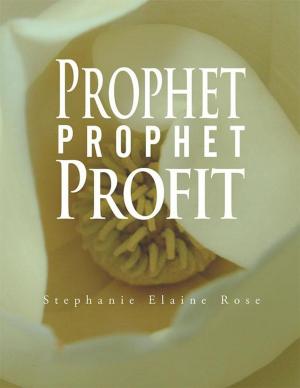 Cover of the book Prophet, Prophet, Profit by J.P. Cashla