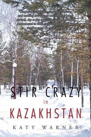 Cover of the book Stir Crazy in Kazakhstan by Elliot Graves