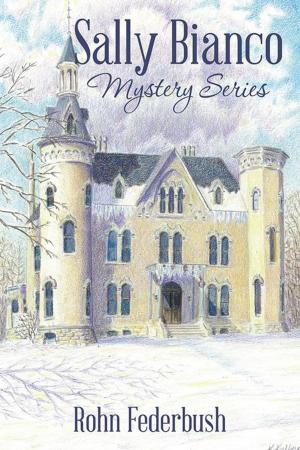 Cover of the book Sally Bianco Mystery Series by R.R. Pravin