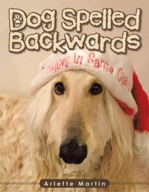 Cover of the book Dog Spelled Backwards by Brittany Harris, Morgan Pairo