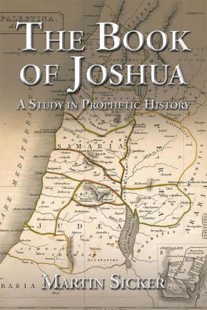 Cover of the book The Book of Joshua by Matther Slater