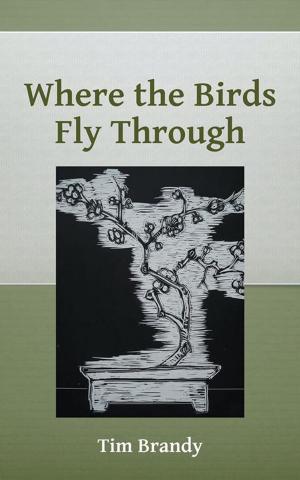 Cover of the book Where the Birds Fly Through by Джон Мерфи