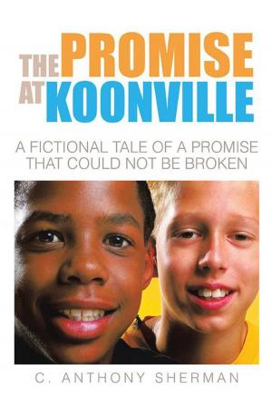 Book cover of The Promise at Koonville