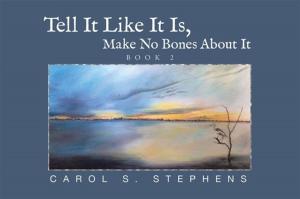 Cover of the book Tell It Like It Is, Make No Bones About It by Elio Furina