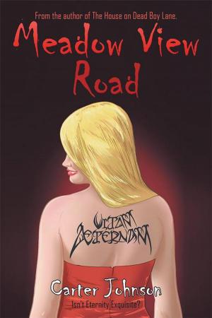 Book cover of Meadow View Road