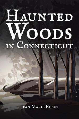 Cover of the book Haunted Woods in Connecticut by Briana Rafferty