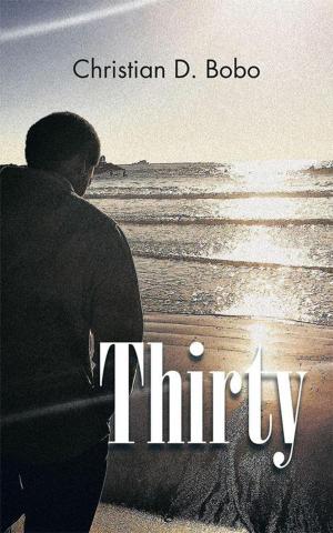 Cover of the book Thirty by A. P. Filosa