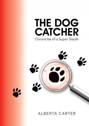 Cover of the book The Dog Catcher by Kim Huffman