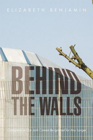 Cover of the book Behind the Walls by Dewey John Jones