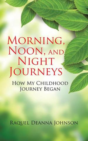 Cover of the book Morning, Noon, and Night Journeys by Olushola Sophia Adebayo - Anyanwu