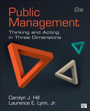 Cover of the book Public Management by Michael O'Neill