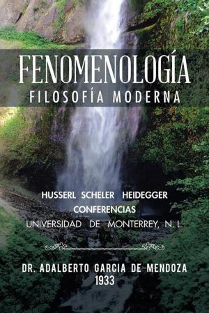 Cover of the book Fenomenología by Manuel Rodríguez Espejo