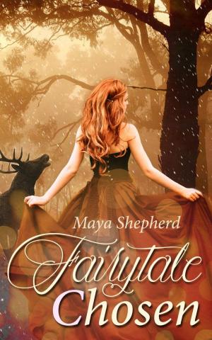 Cover of the book Fairytale chosen by Jason Potash