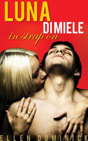 Cover of the book Luna di miele in strap on by SuperWriter