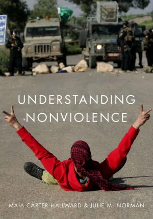 Cover of the book Understanding Nonviolence by Deborah Tannen, Heidi E. Hamilton, Deborah Schiffrin