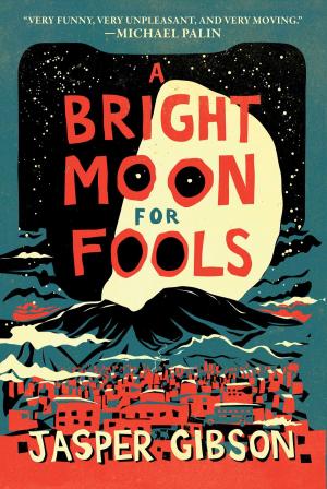 bigCover of the book A Bright Moon for Fools by 