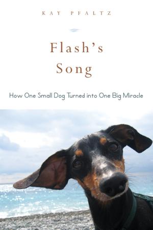 Cover of the book Flash's Song by Geneviève Duboscq