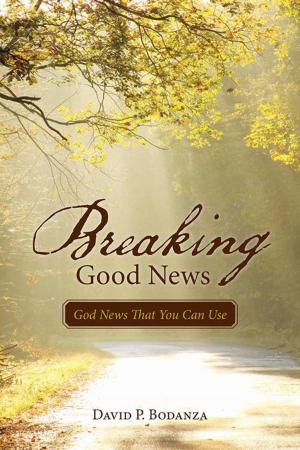 Cover of the book Breaking Good News by Heather DeVito