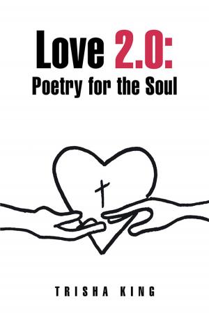 Cover of the book Love 2.0: Poetry for the Soul by Akshdeep Singh  Narula