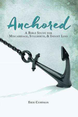 Cover of the book Anchored by Dr Christine Botchway