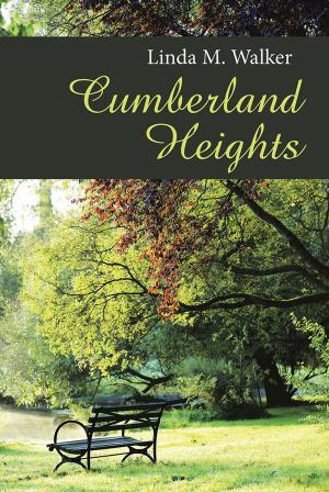 Cover of the book Cumberland Heights by Sue Campbell