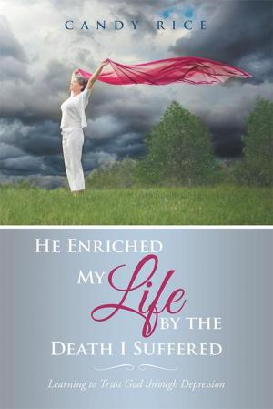 Cover of the book He Enriched My Life by the Death I Suffered by David E. Plante