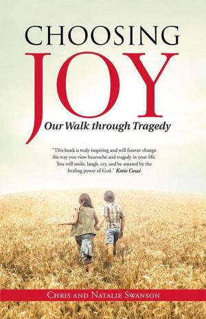 Cover of the book Choosing Joy by Ann B. Makena