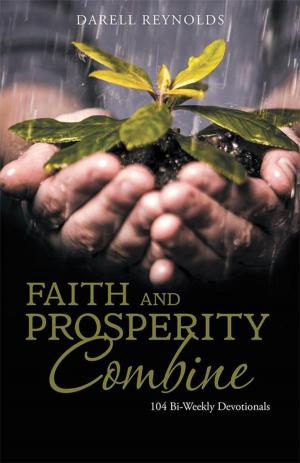 Cover of the book Faith and Prosperity Combine by Daniel Ukadike Nwaelene ThD