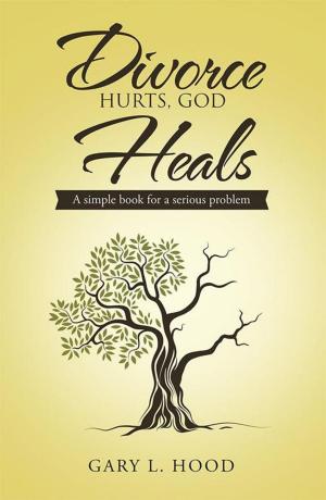 Cover of the book Divorce Hurts, God Heals by Dave McAuley