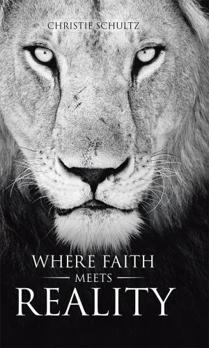 Cover of the book Where Faith Meets Reality by Michael Farlin