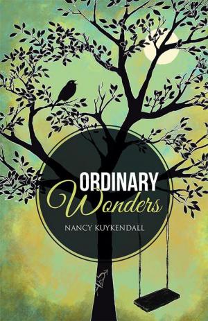 bigCover of the book Ordinary Wonders by 