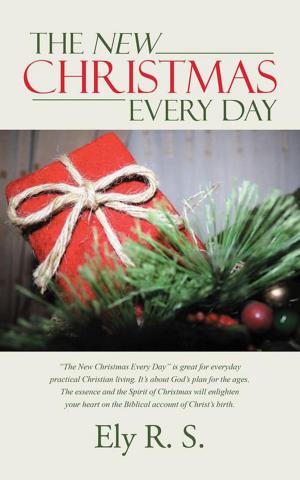 Cover of the book The New Christmas Every Day by Tim Howard