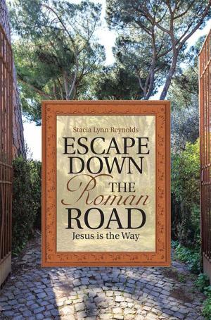 Cover of the book Escape Down the Roman Road by Natalie Maki