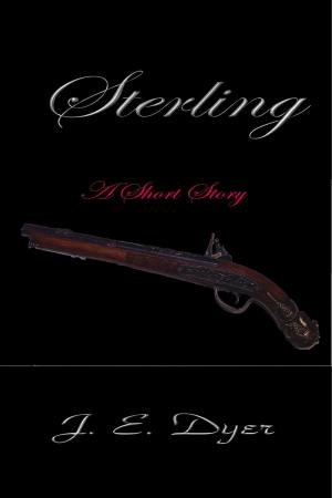 Cover of the book Sterling by Lucy Appadoo