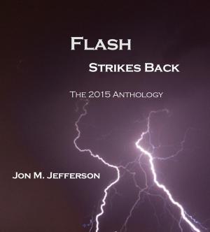 Cover of the book Flash Strikes Back by Joe Lynn