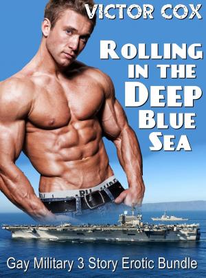 Book cover of Rolling in the Deep Blue Sea