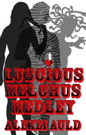 Cover of the book Luscious Melchus Medley by Shannon Lee Martin