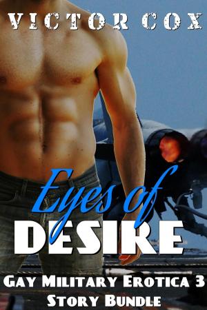 Cover of the book Eyes of Desire by Hunter Shotz