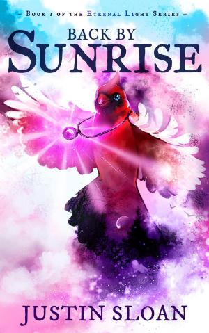 Cover of the book Back by Sunrise by Sylvie DELCOURT