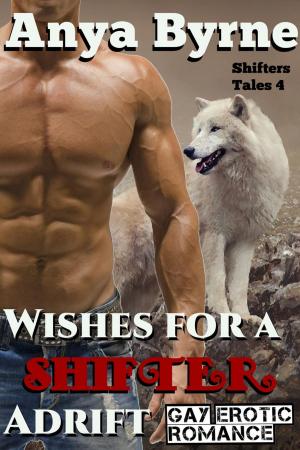 Cover of the book Wishes for a Shifter Adrift by Kirsten Mathews