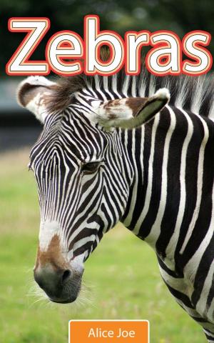 Cover of the book Zebras by Aqkay