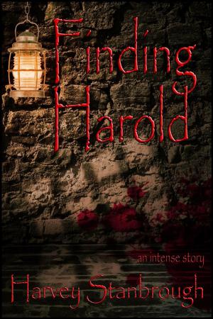 Cover of the book Finding Harold by Chris Schilver