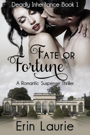Cover of the book Fate or Fortune by B. R. Laue