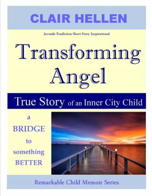 Book cover of Transforming Angel - True Story of an Inner City Child - a bridge to something better